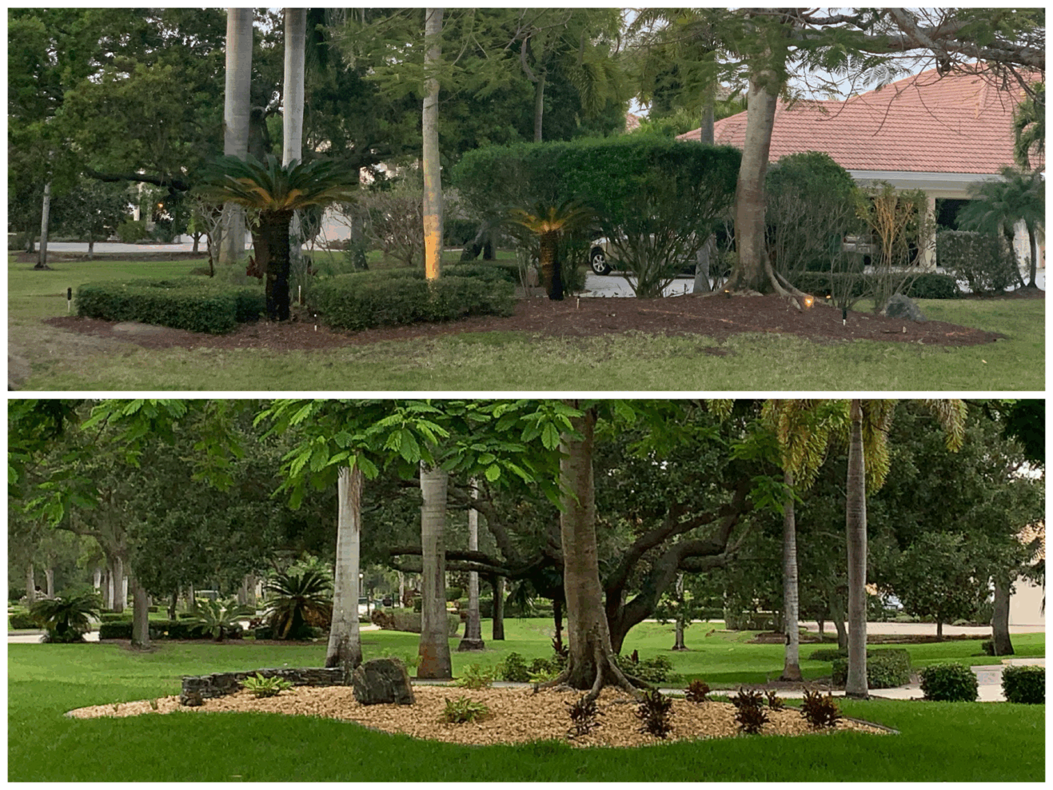 Plant and Tree Installation by Curb Pro in Brevard County, FL
